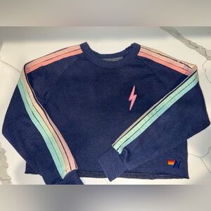✨rare✨Aviator Nation Cropped Blue Sweatshirt with Pastel Stripes
